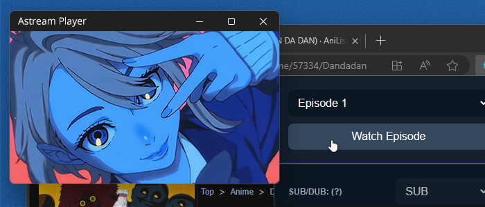 Anime Streaming Interface